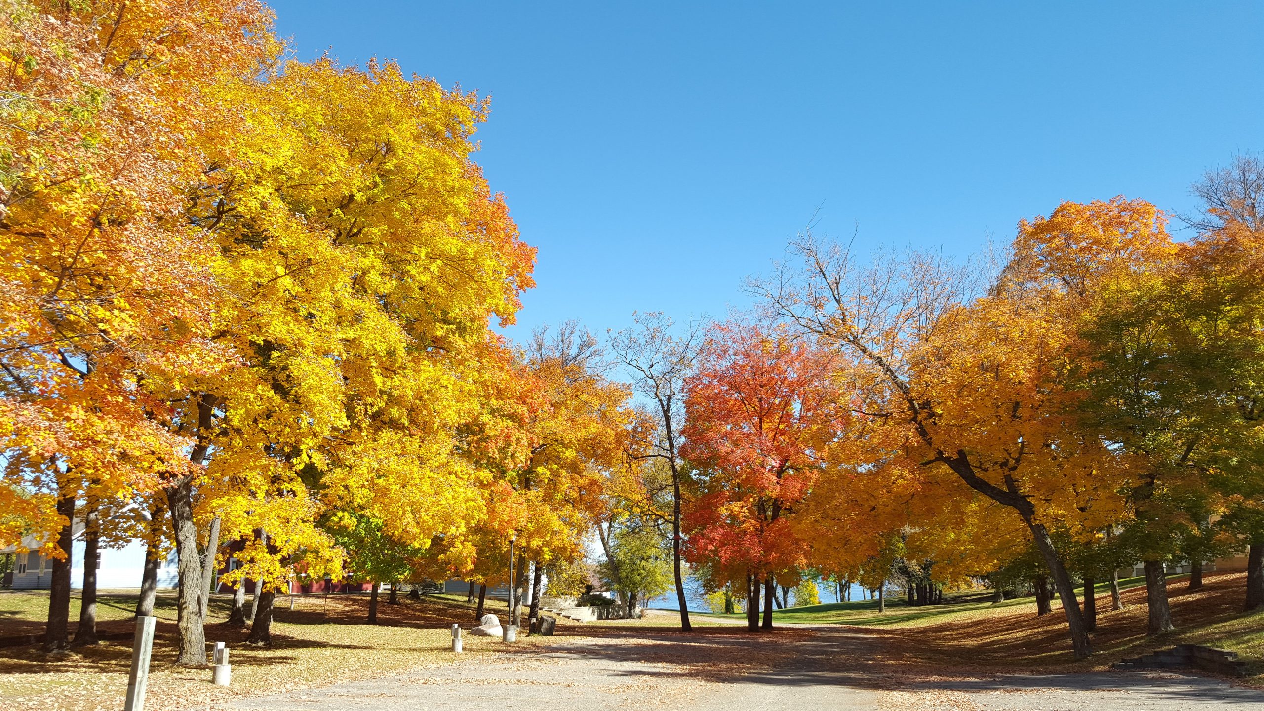 Lake Carlos in fall